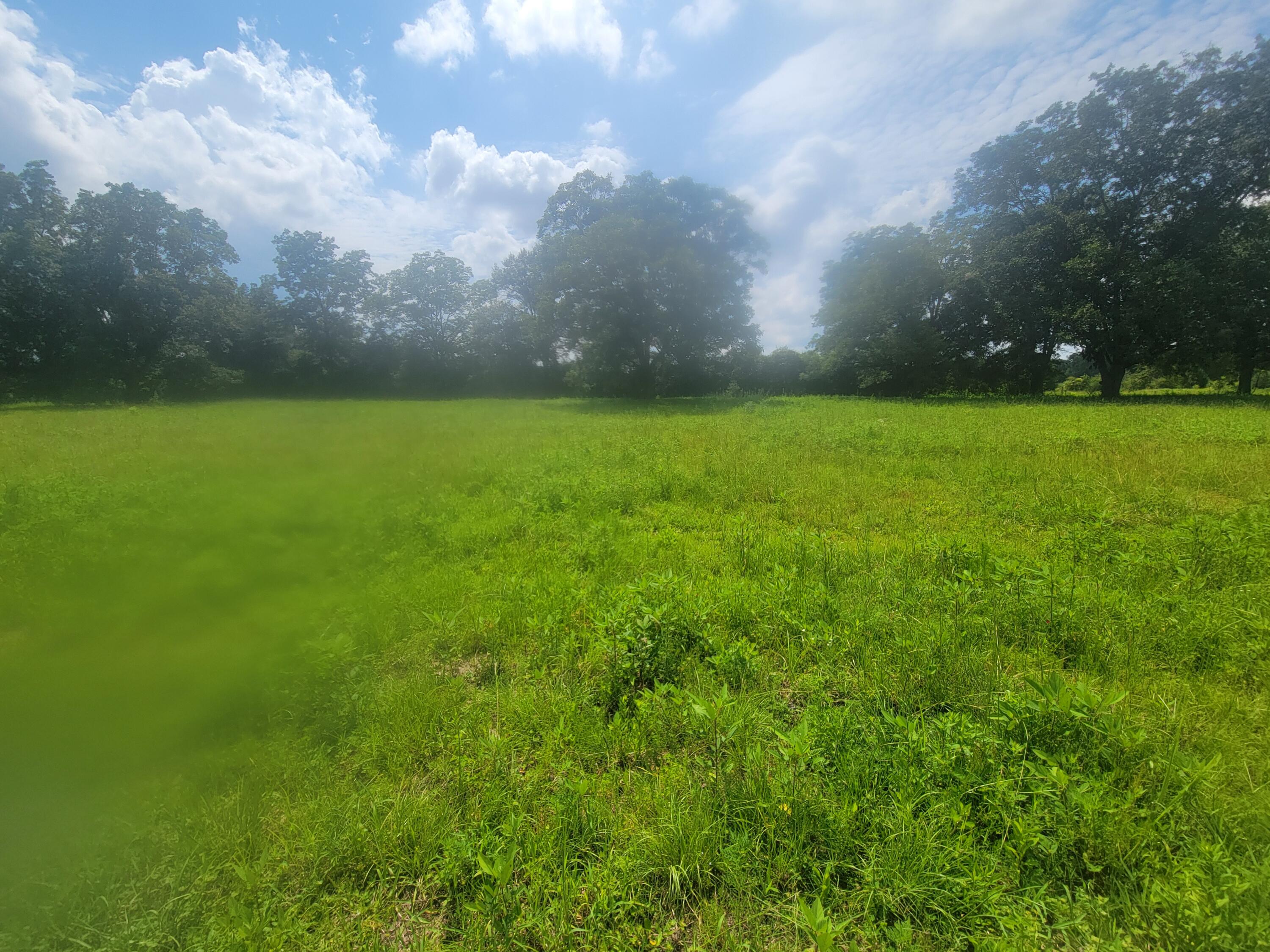 32-acres Williams Road DeFuniak Springs, FL 32433 - Photo 11 of 16 a view of yard with green space