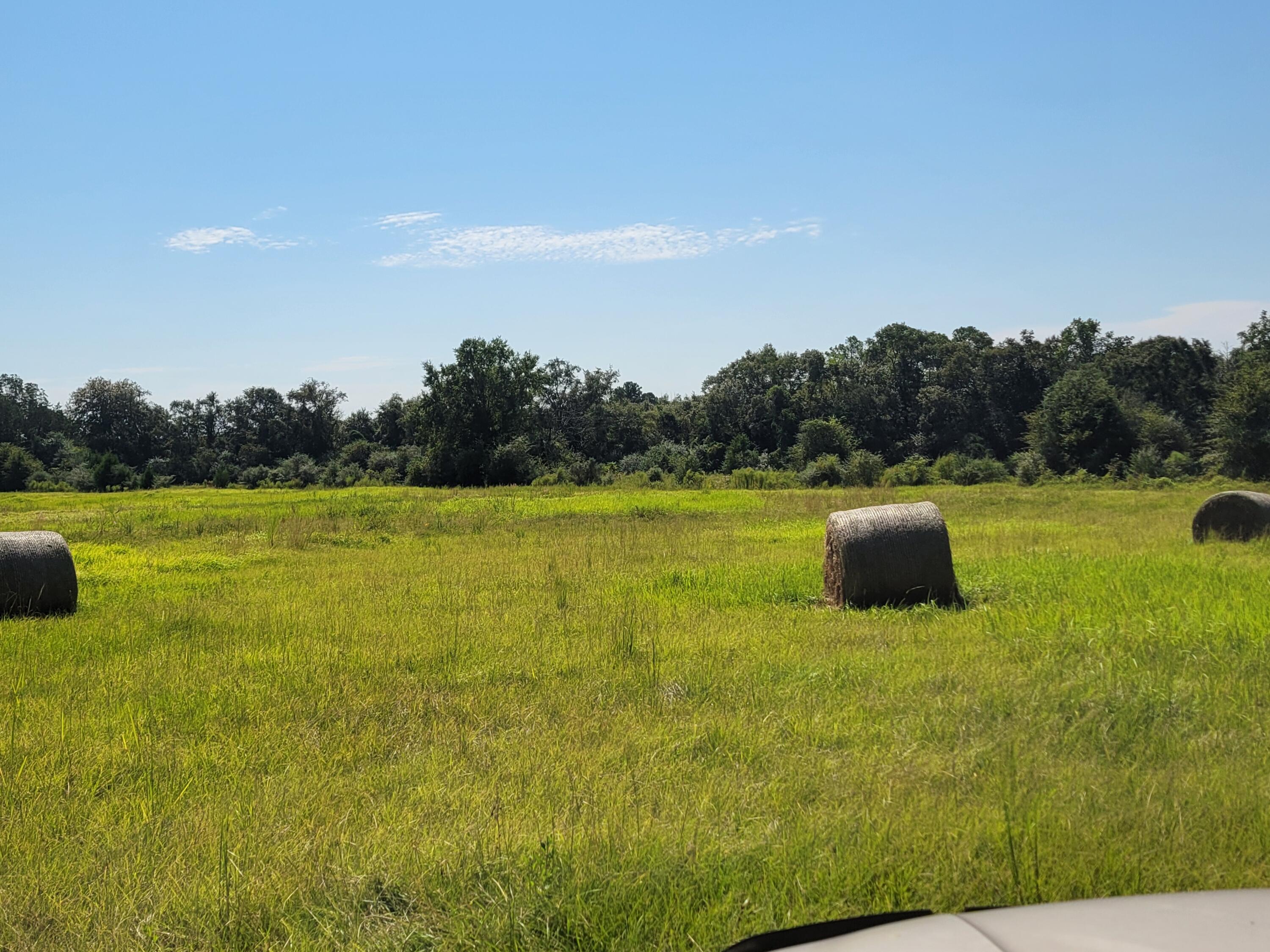 32-acres Williams Road DeFuniak Springs, FL 32433 - Photo 13 of 16