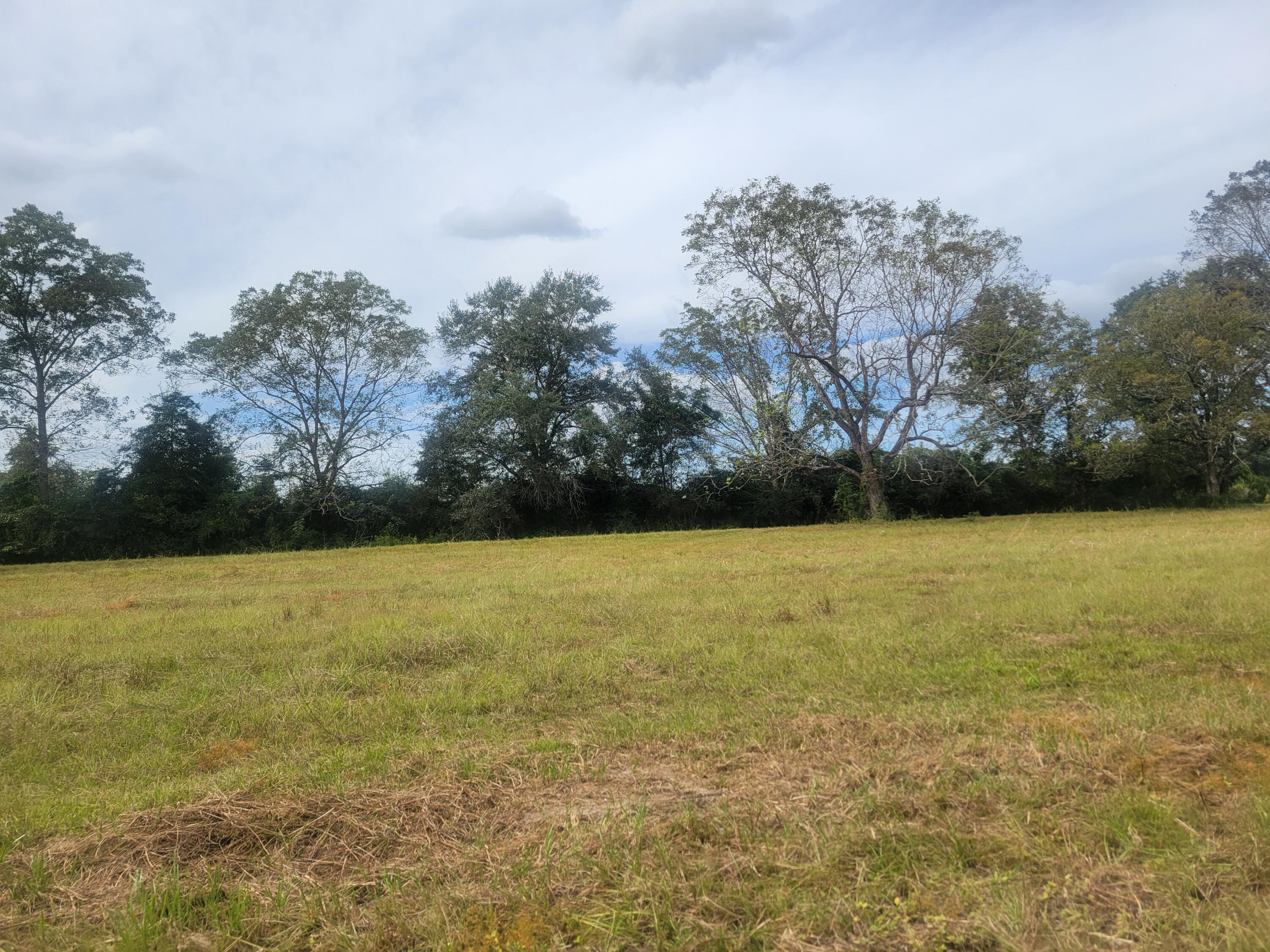 32-acres Williams Road DeFuniak Springs, FL 32433 - Photo 15 of 16 a view of an ocean