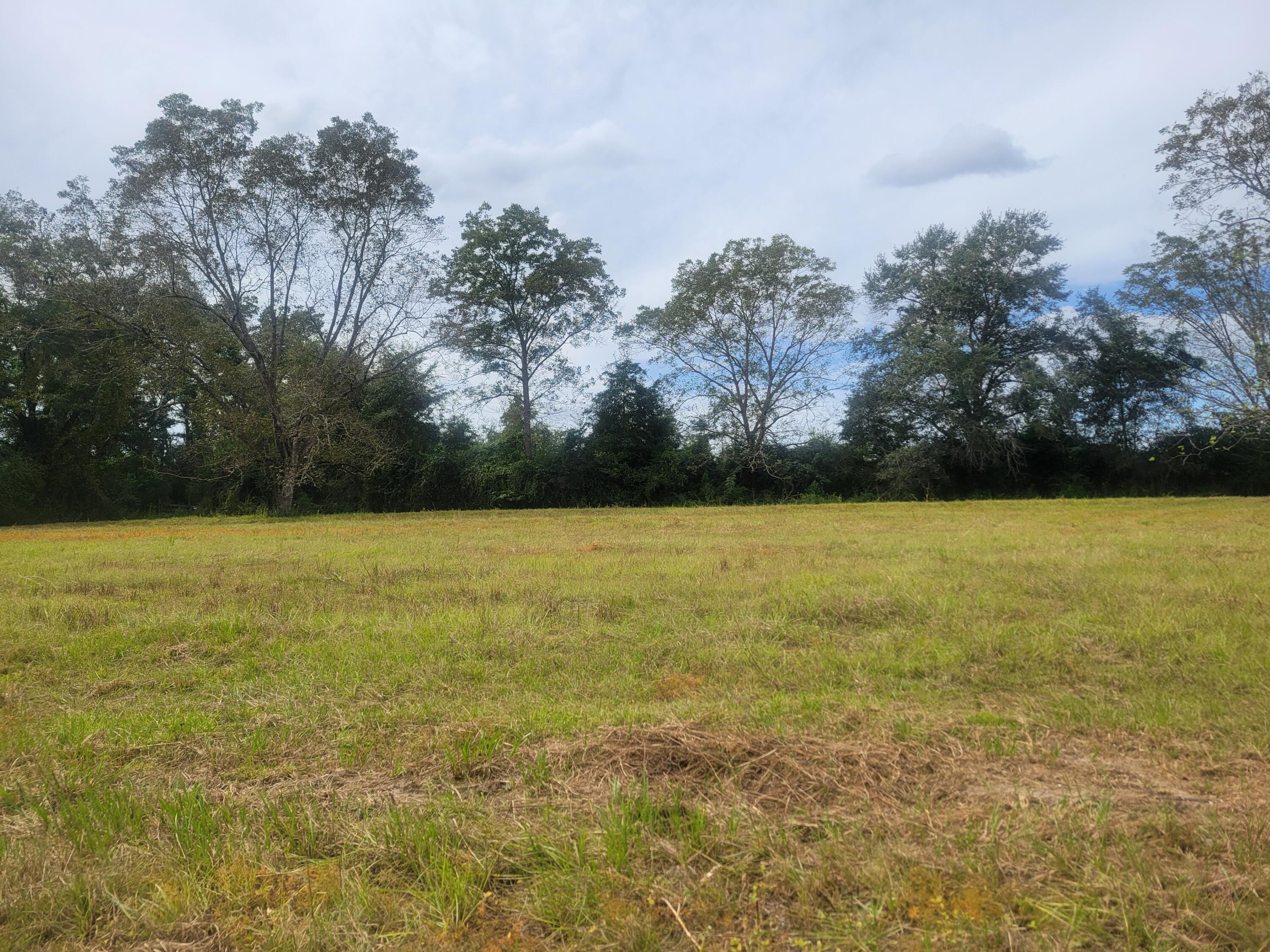 32-acres Williams Road DeFuniak Springs, FL 32433 - Photo 16 of 16 a view of yard with swimming pool and green space