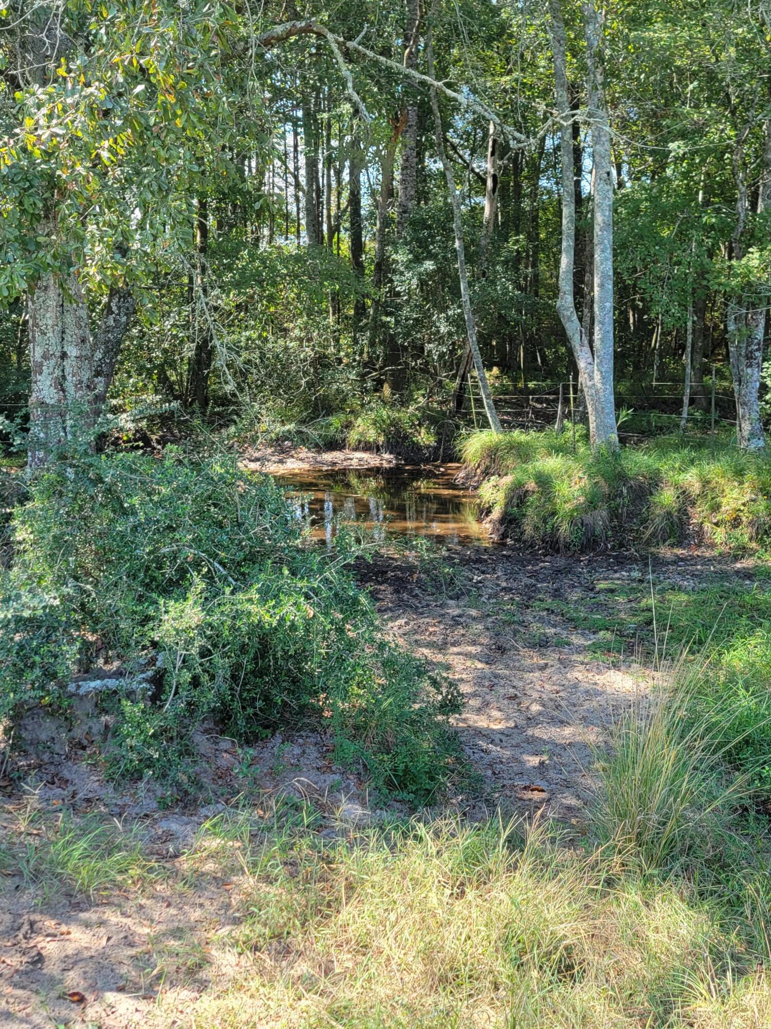 32-acres Williams Road DeFuniak Springs, FL 32433 - Photo 2 of 16 a view of a park with large trees