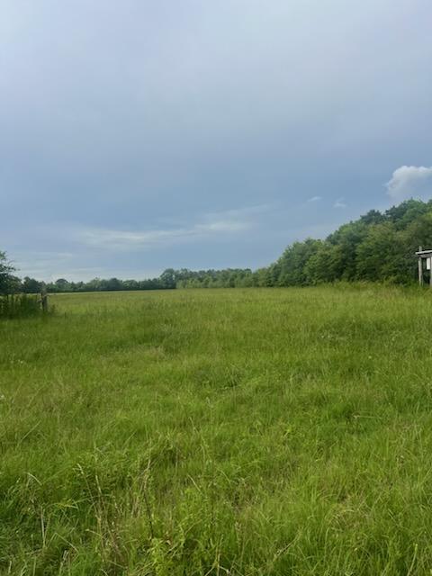 32-acres Williams Road DeFuniak Springs, FL 32433 - Photo 3 of 16 a view of a field with an ocean