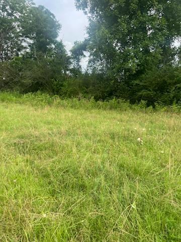 32-acres Williams Road DeFuniak Springs, FL 32433 - Photo 4 of 16 a view of outdoor space and yard
