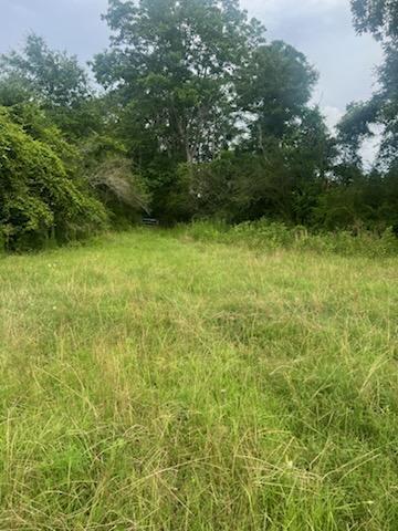 32-acres Williams Road DeFuniak Springs, FL 32433 - Photo 5 of 16 a view of outdoor space and yard