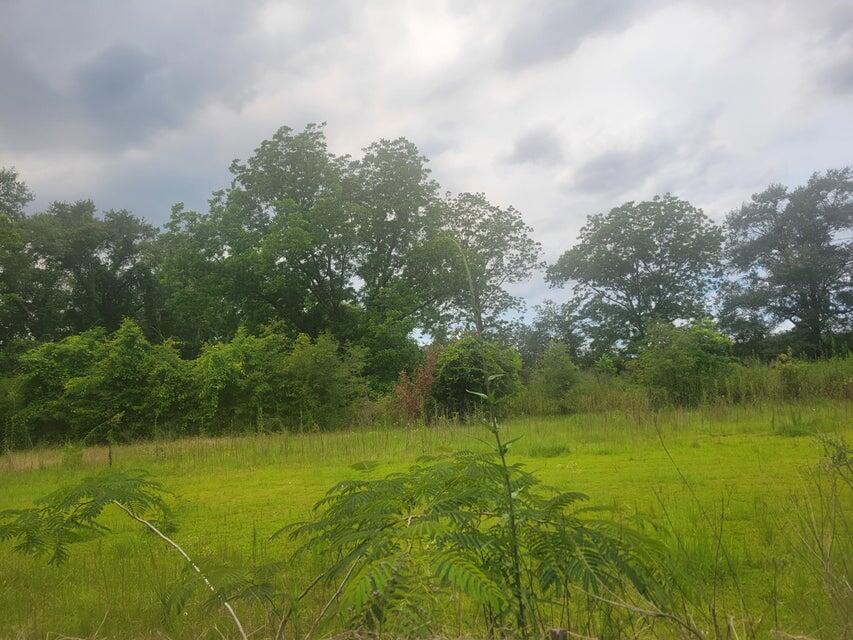 32-acres Williams Road DeFuniak Springs, FL 32433 - Photo 6 of 16 a view of a lake from a yard