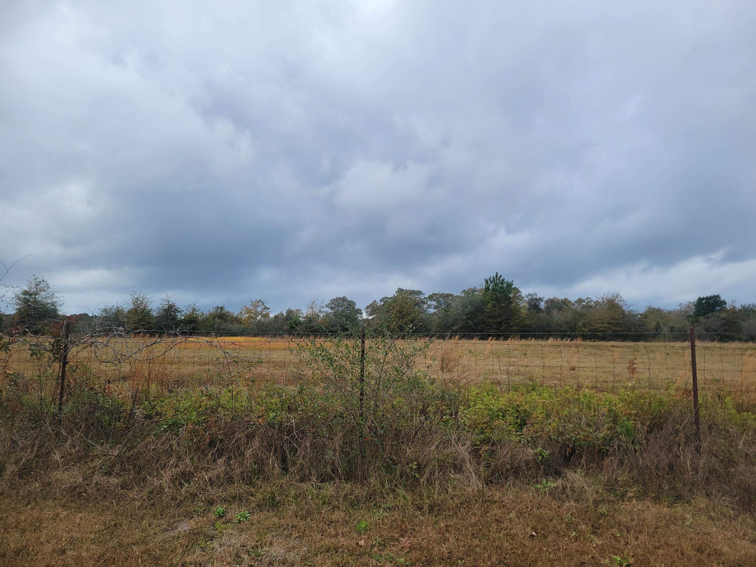 32-acres Williams Road DeFuniak Springs, FL 32433 - Photo 7 of 16 a view of lake and mountain view