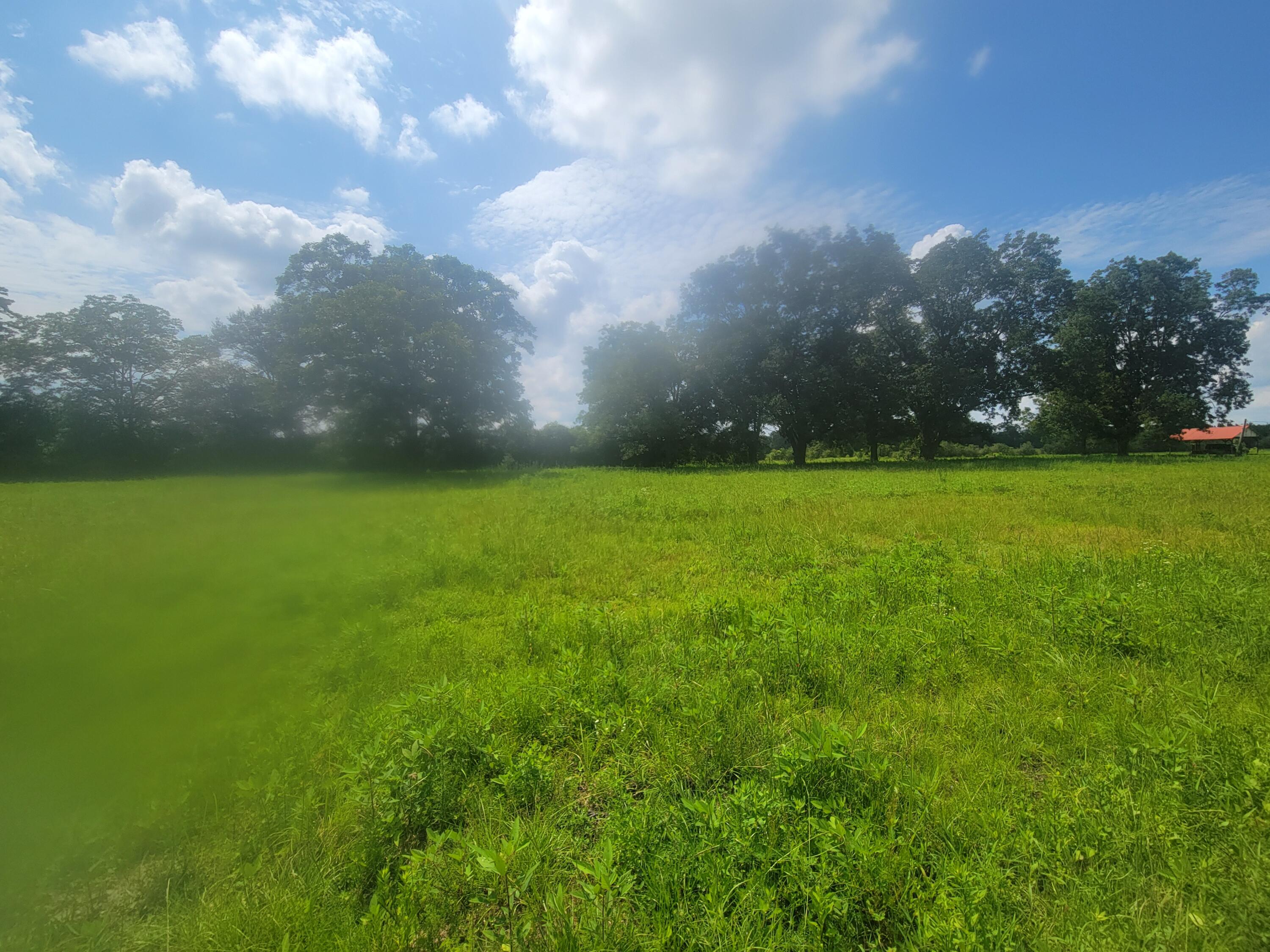 32-acres Williams Road DeFuniak Springs, FL 32433 - Photo 10 of 16 a view of yard with green space