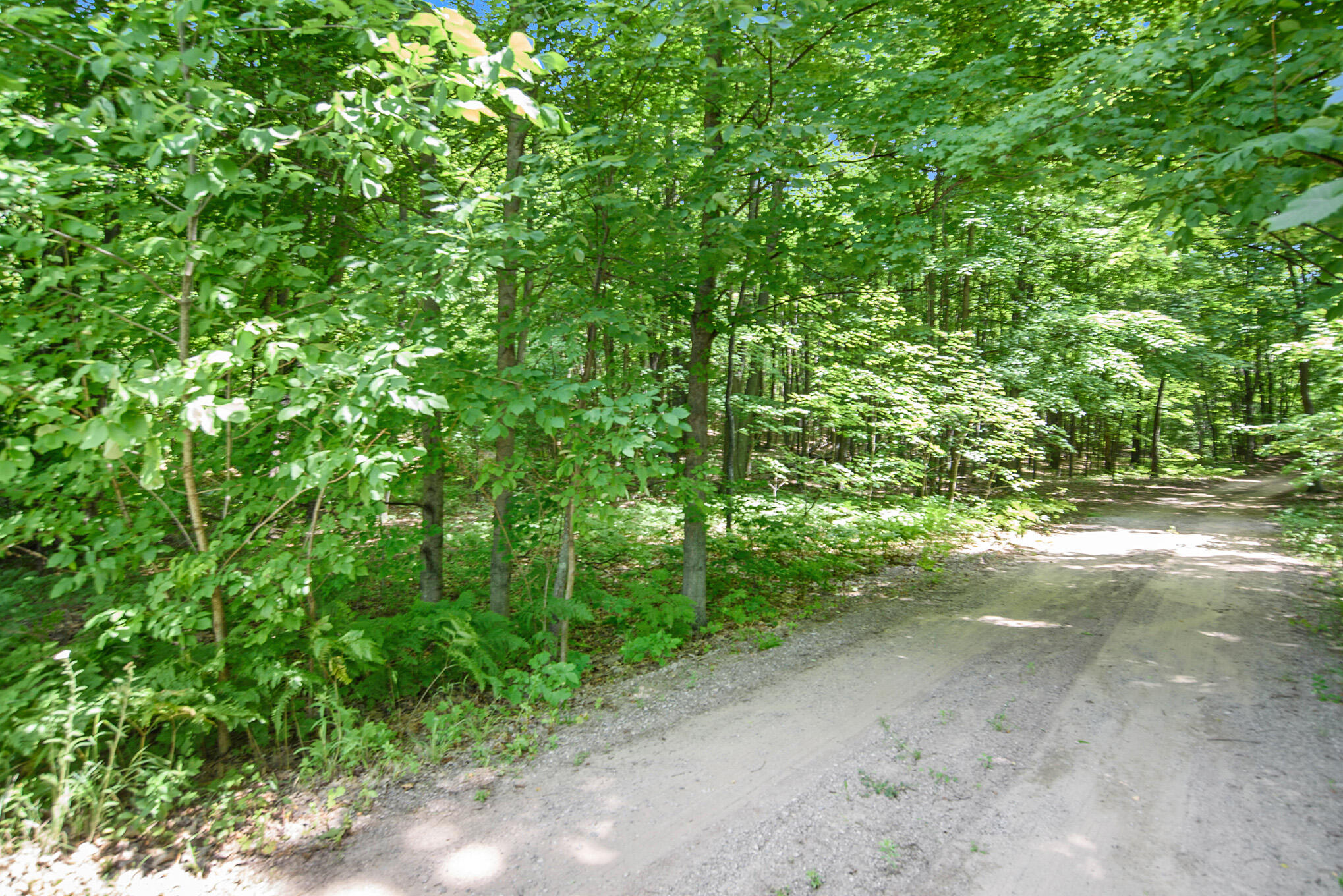 0 North Wilson Road, Unit PARCEL 4 Mears, MI 49436 - Photo 2 of 19 DSC_2353