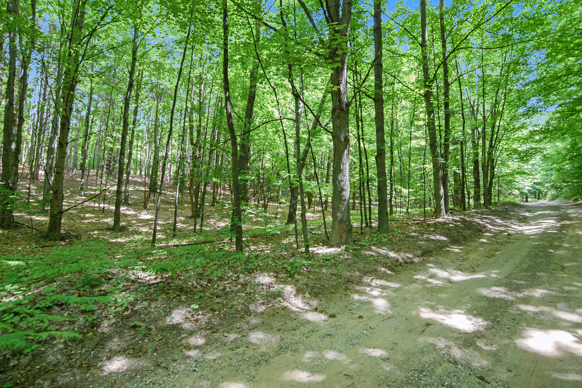 0 North Wilson Road, Unit PARCEL 4 Mears, MI 49436 - Photo 4 of 19 DSC_2355