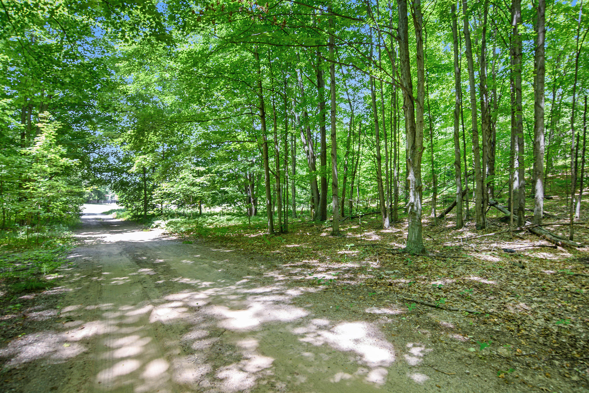 0 North Wilson Road, Unit PARCEL 4 Mears, MI 49436 - Photo 8 of 19 DSC_2359