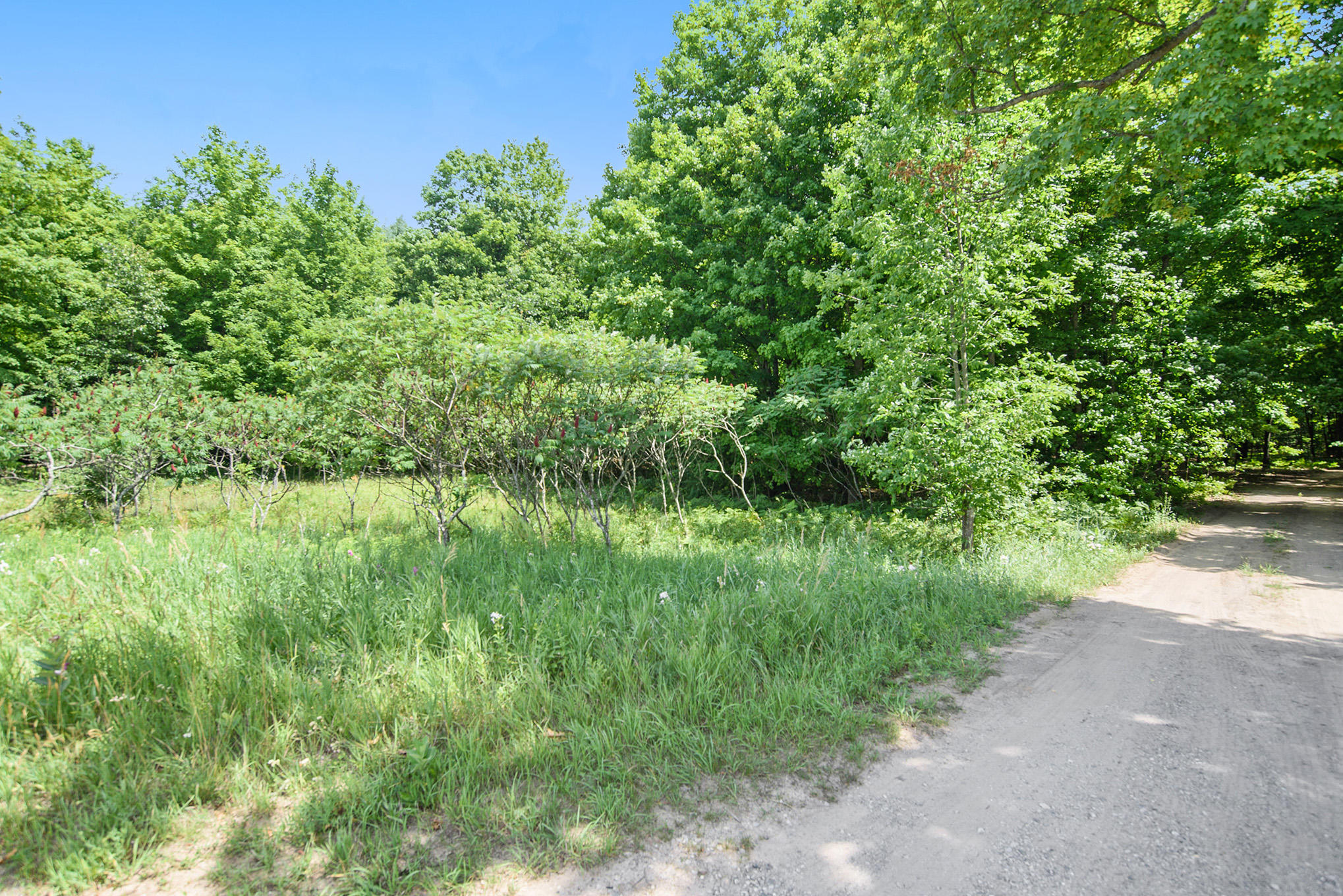 0 North Wilson Road, Unit PARCEL 4 Mears, MI 49436 - Photo 9 of 19 DSC_2360