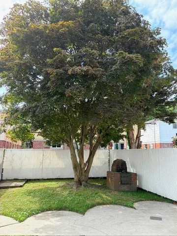 a view of a yard with large trees