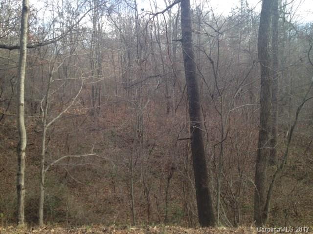 Tbd Bennett Road Candler, NC 28715 - Photo 12 of 14 Gallery Image 12