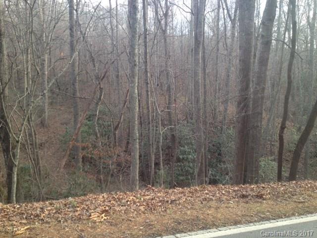 Tbd Bennett Road Candler, NC 28715 - Photo 14 of 14 Gallery Image 14