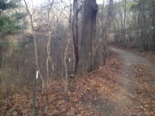 Tbd Bennett Road Candler, NC 28715 - Photo 7 of 14 Gallery Image 7