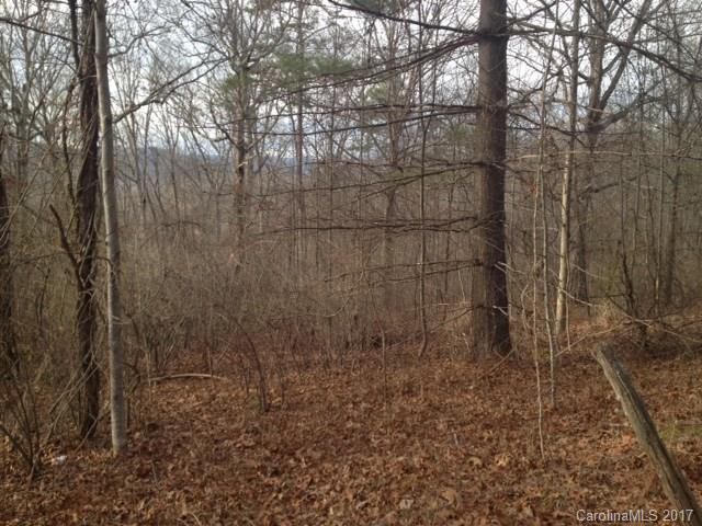 Tbd Bennett Road Candler, NC 28715 - Photo 10 of 14 Gallery Image 10