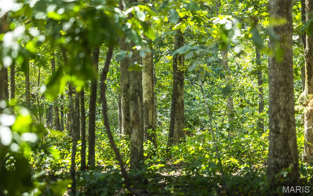 1 Buck Mountain Road Ironton, MO 63650 - Photo 9 of 12