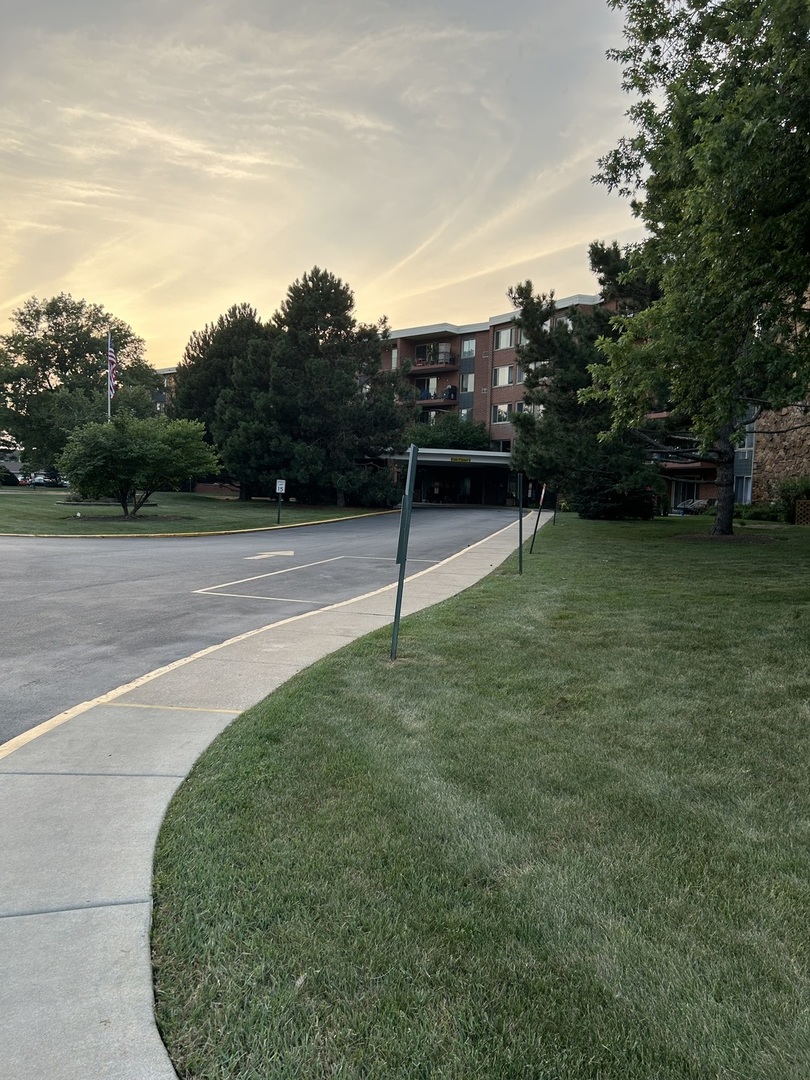 a view of a backyard