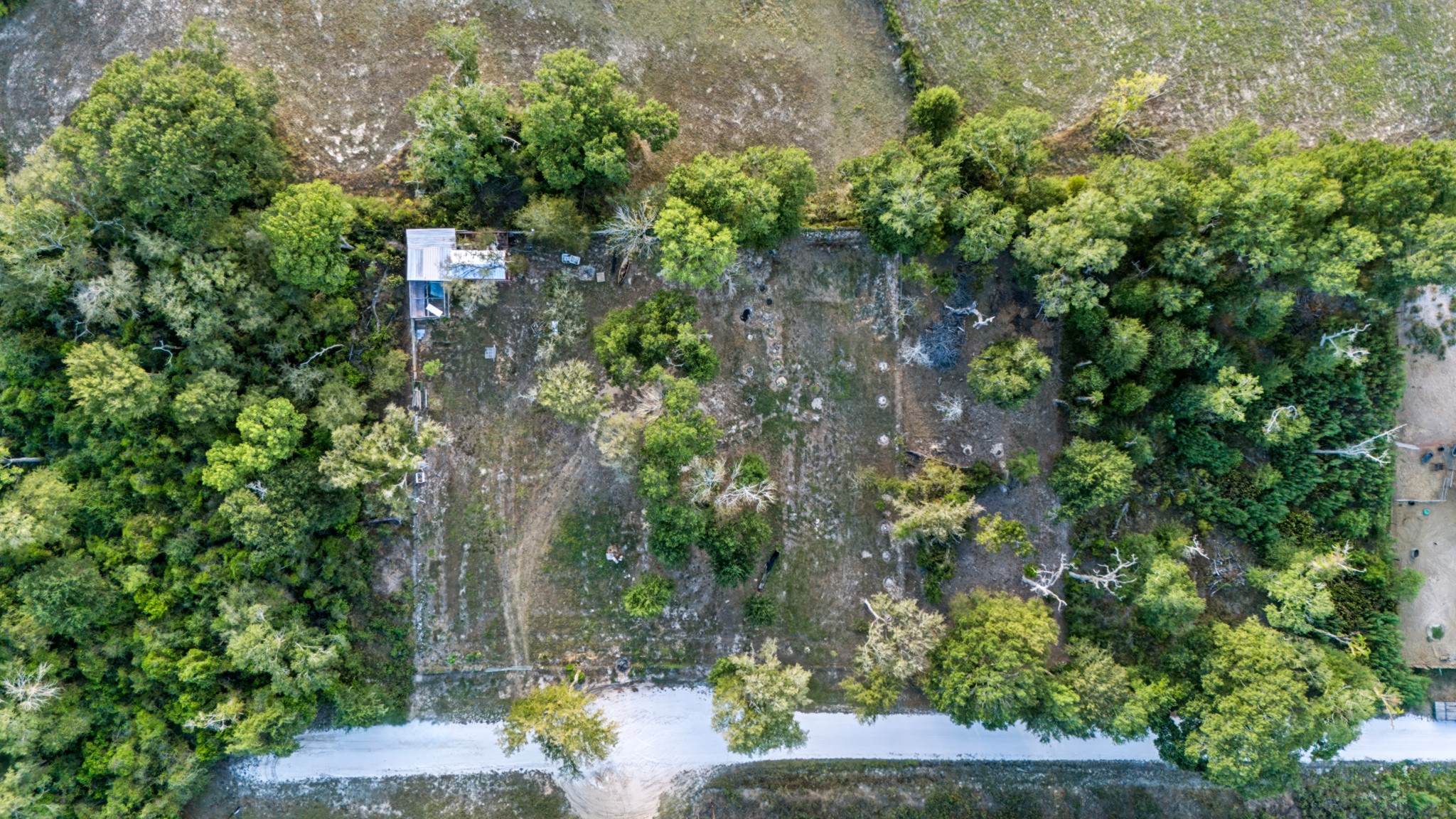 25044 Leitrim Road Hempstead, TX 77445 - Photo 9 of 20 Gallery Image 9