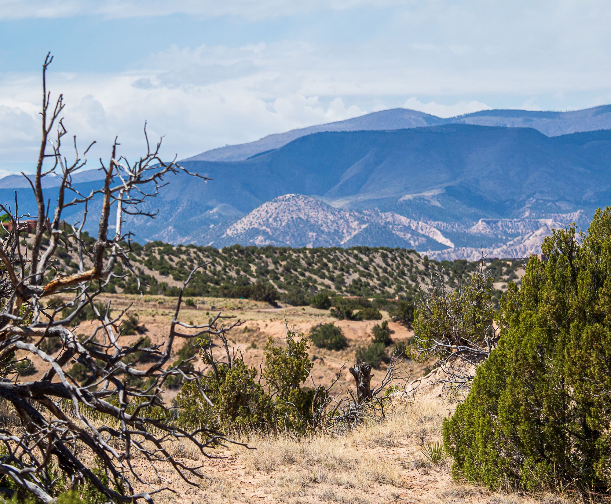 0 El Rito Estates Abiquiu, NM 87510 - Photo 42 of 56