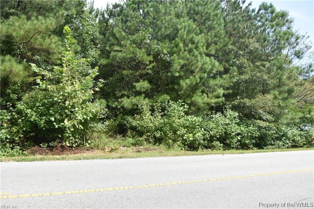 82-ac Smiths Neck Road Carrollton, VA 23314 - Photo 6 of 9 Gallery Image 6