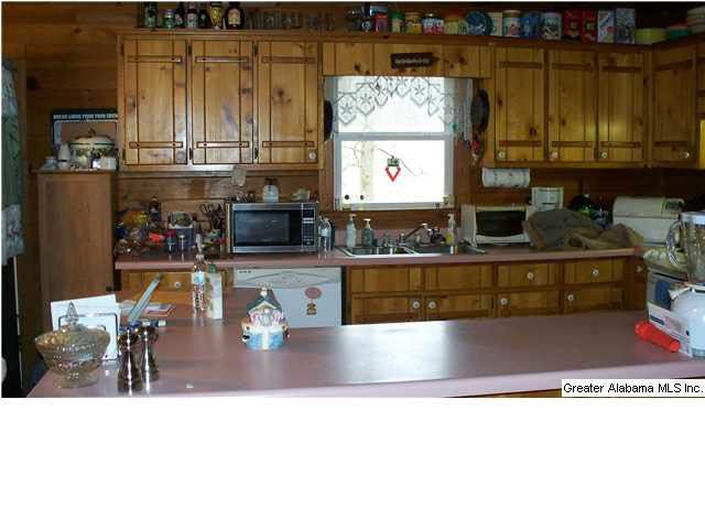 17714 Highway 46, Unit 1 Ranburne, AL 36273 - Photo 6 of 11