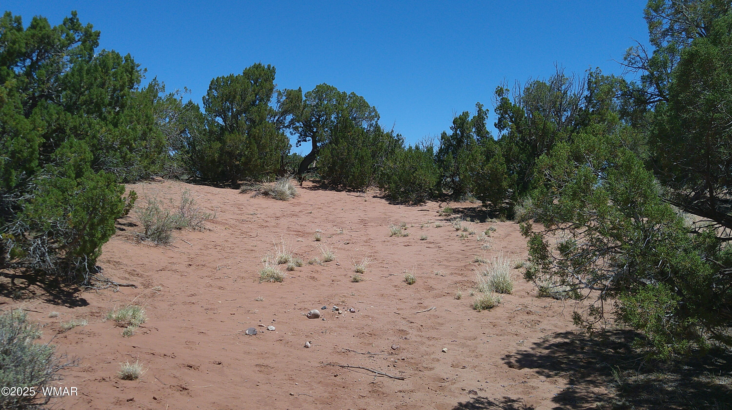 Tbd Tbd Rio Ranch Concho, AZ 85924 - Photo 23 of 44 DSCF0039