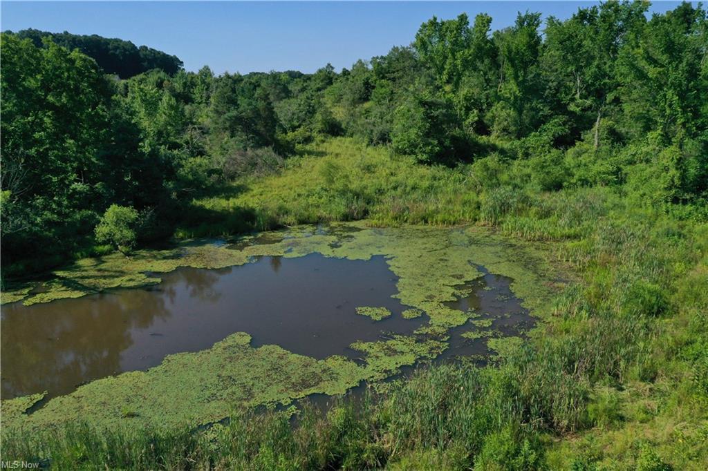 8610 West Triadelphia Road Malta, OH 43758 - Photo 27 of 42 GetMedia.ashx-16