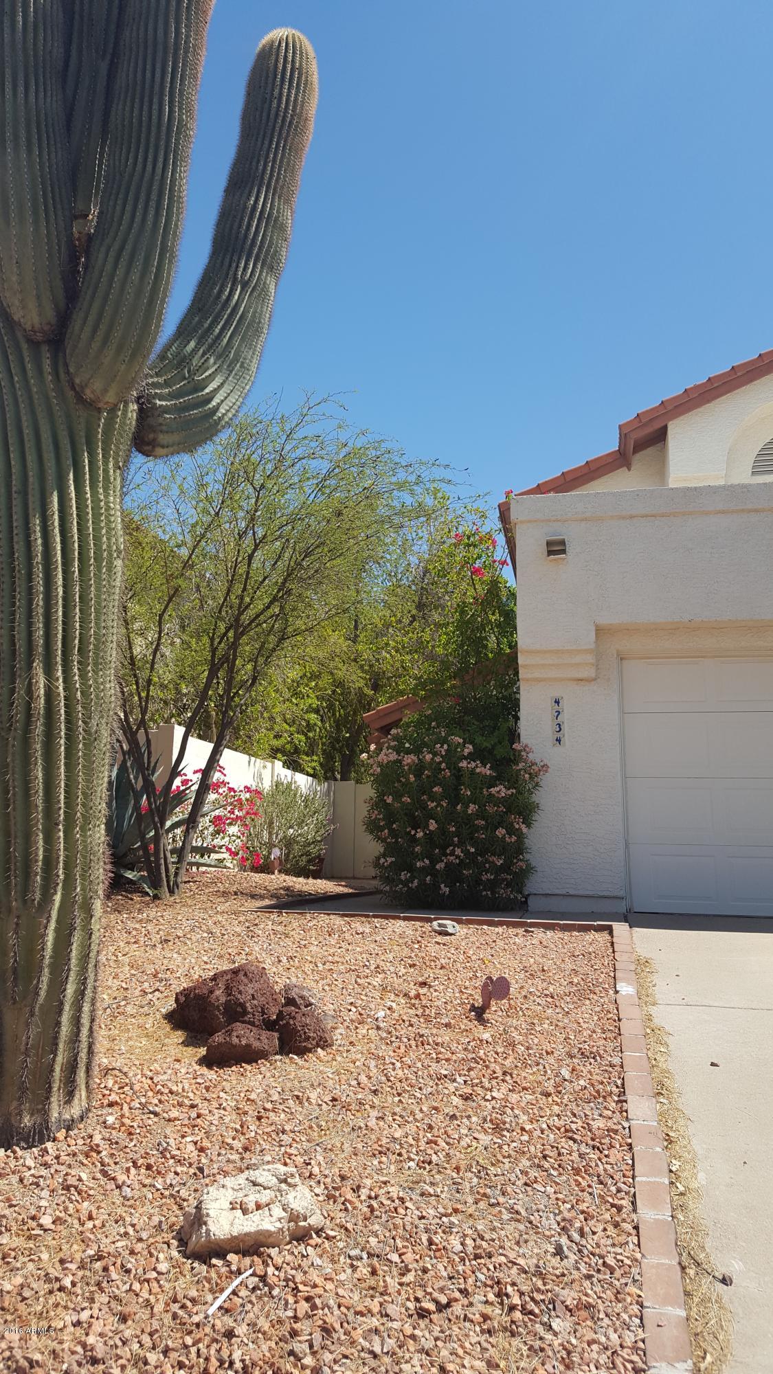 4734 East Piedmont Road Phoenix, AZ 85044 - Photo 2 of 44 20160530_101101
