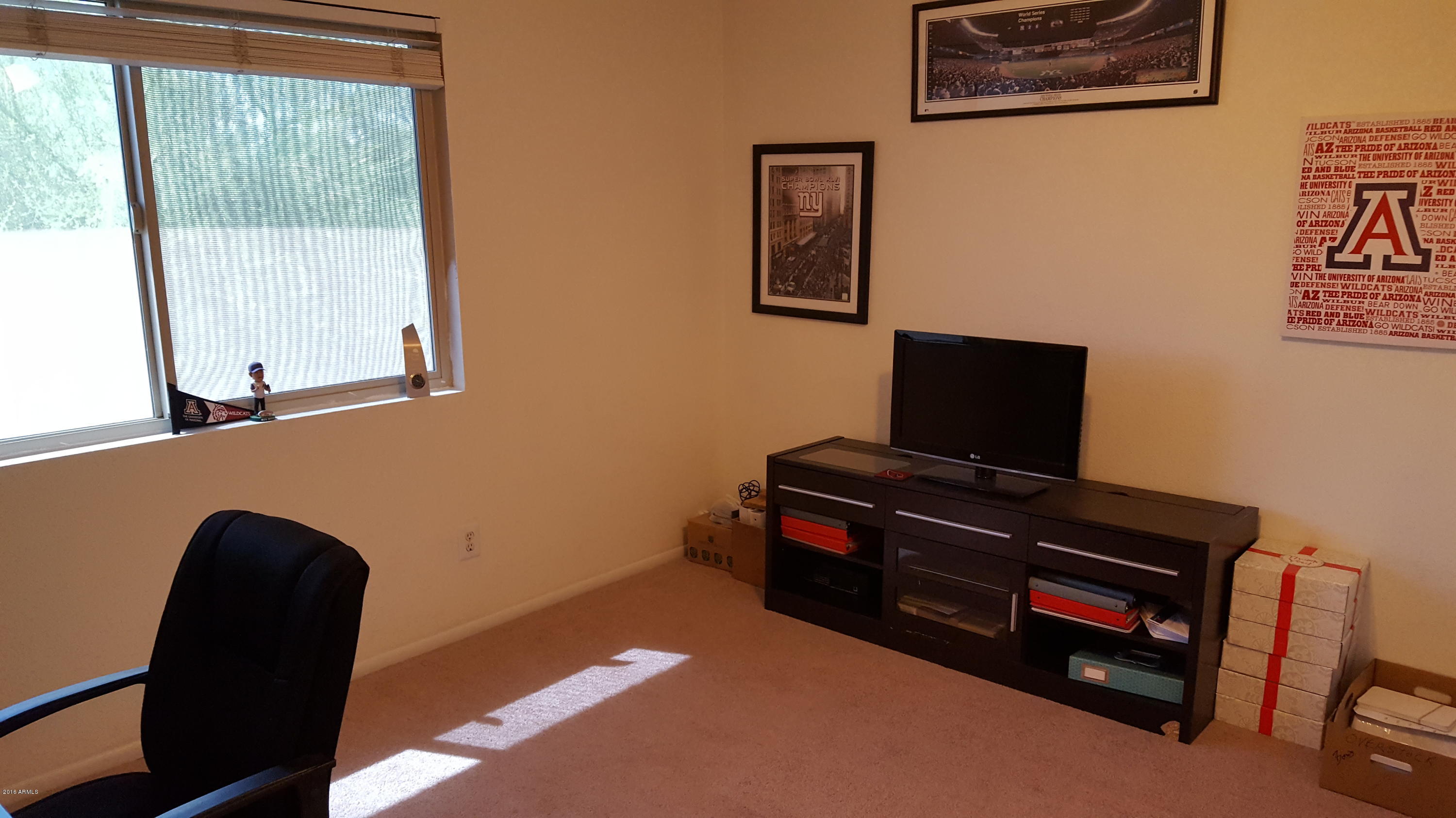 4734 East Piedmont Road Phoenix, AZ 85044 - Photo 34 of 44 20160530_095607