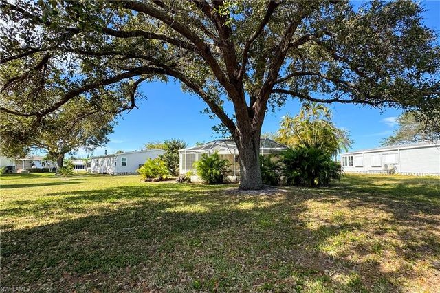 a view of a trees in a yard with large trees