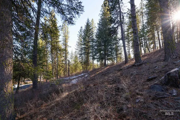 $90,000 | Lot 7 Camas Drive, New Meadows, ID 83654