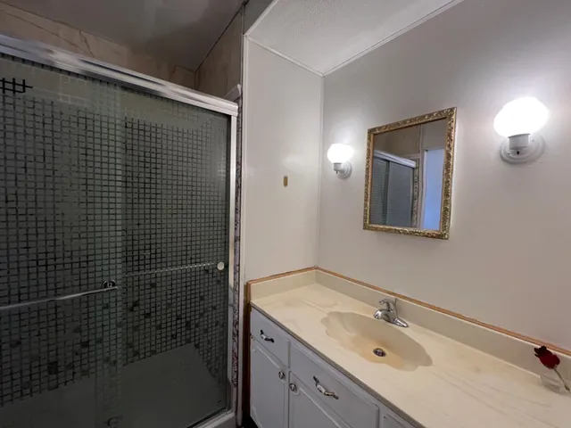 a bathroom with a shower sink vanity and mirror