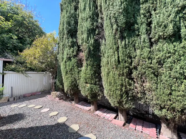 a backyard of a house with lots of green space