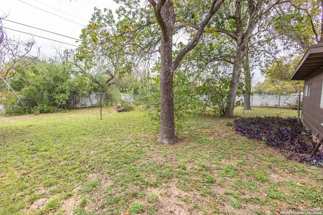 a view of a yard with a tree
