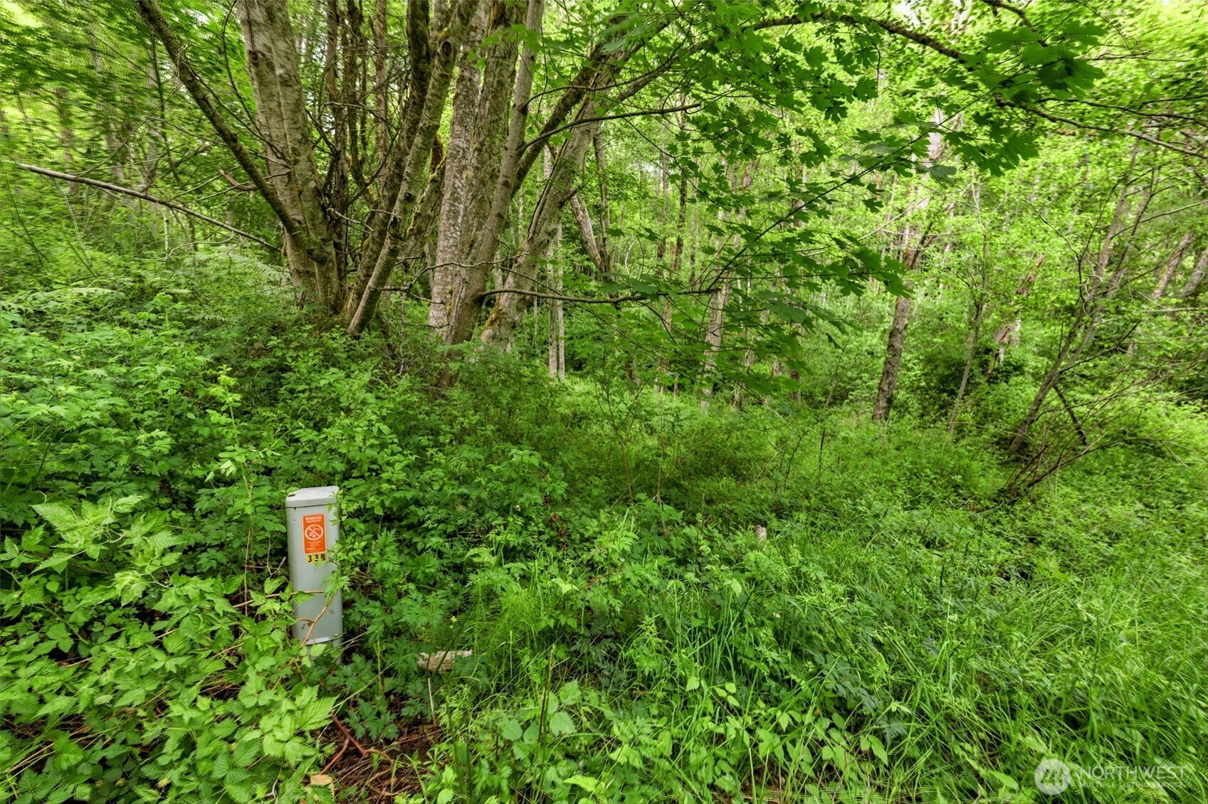 241 Northeast Rendsland Creek Road Tahuya, WA 98588 - Photo 23 of 28