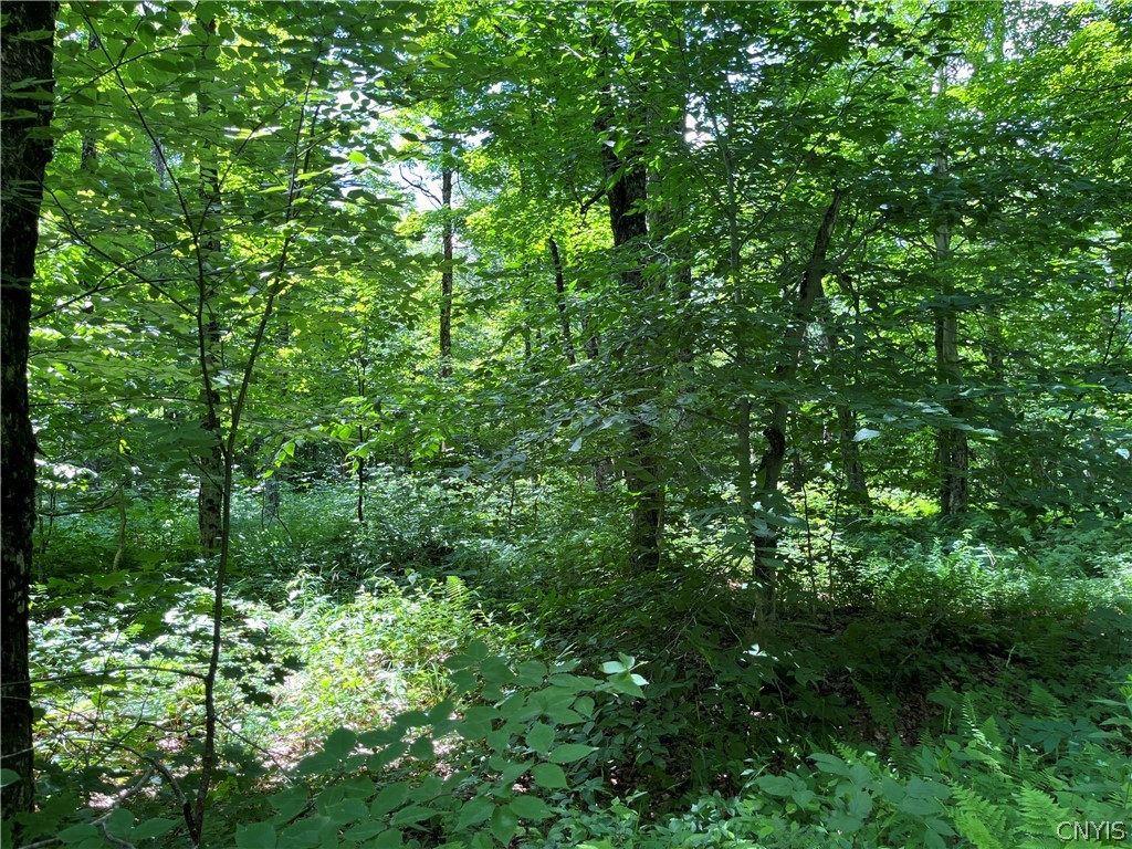 East Town Line Road Lorraine, NY 13659 - Photo 12 of 34 Gallery Image 12