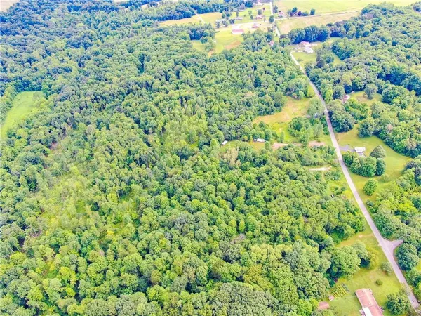 a view of a green yard