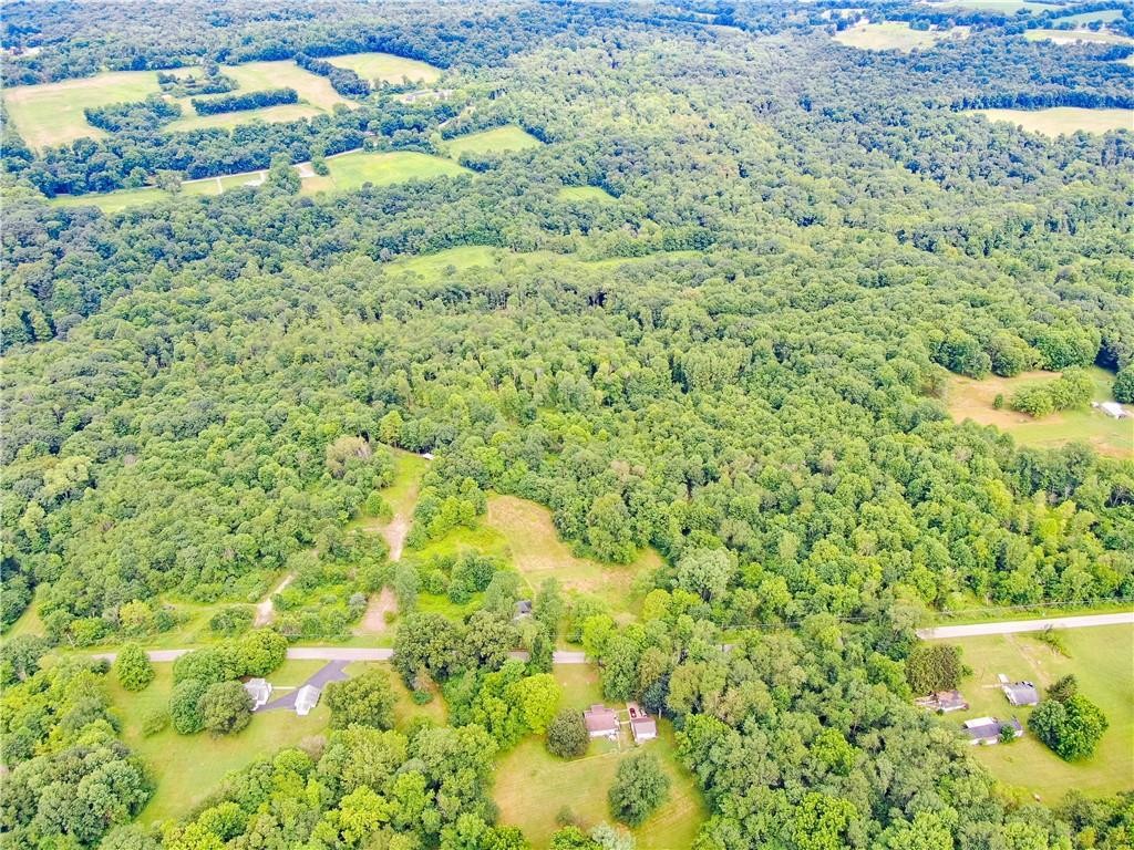 Lot # 5 Hillsville Road Edinburg, PA 16116 - Photo 3 of 9 a view of a garden with a tree