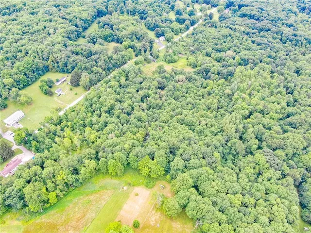 a view of a big yard with large trees