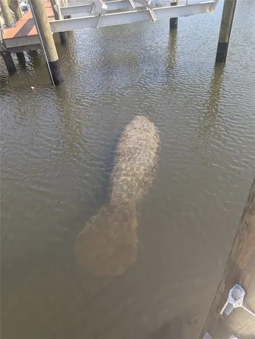 $2,500 | 511 Dona Drive, Nokomis, FL 34275