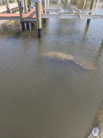 $2,500 | 511 Dona Drive, Nokomis, FL 34275