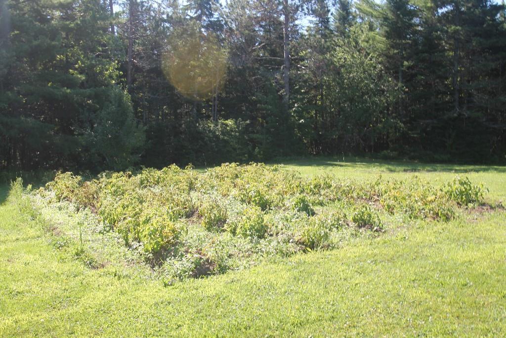 49 Field Road Ellsworth, ME 04605 - Photo 21 of 23 Photo