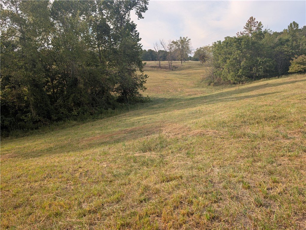 4990 Rock Springs Road West Harrison, AR 72601 - Photo 9 of 11 Gallery Image 9