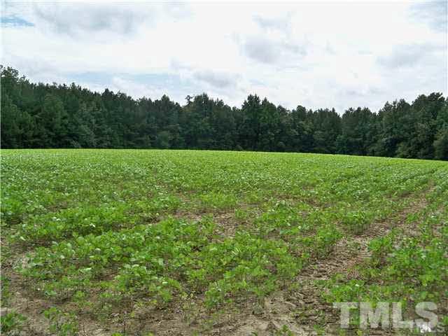 Stallings Road, Unit 2 Zebulon, NC 27597 - Photo 2 of 8