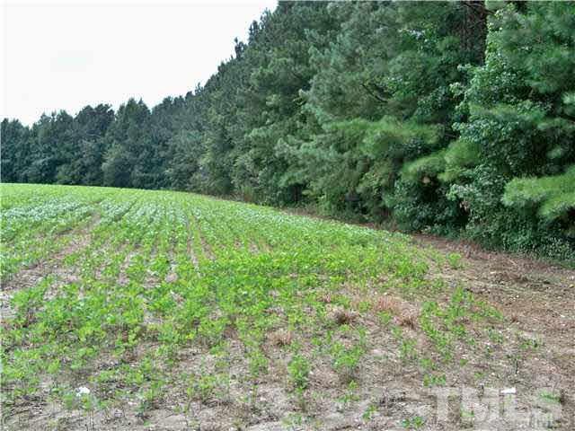 Stallings Road, Unit 2 Zebulon, NC 27597 - Photo 3 of 8