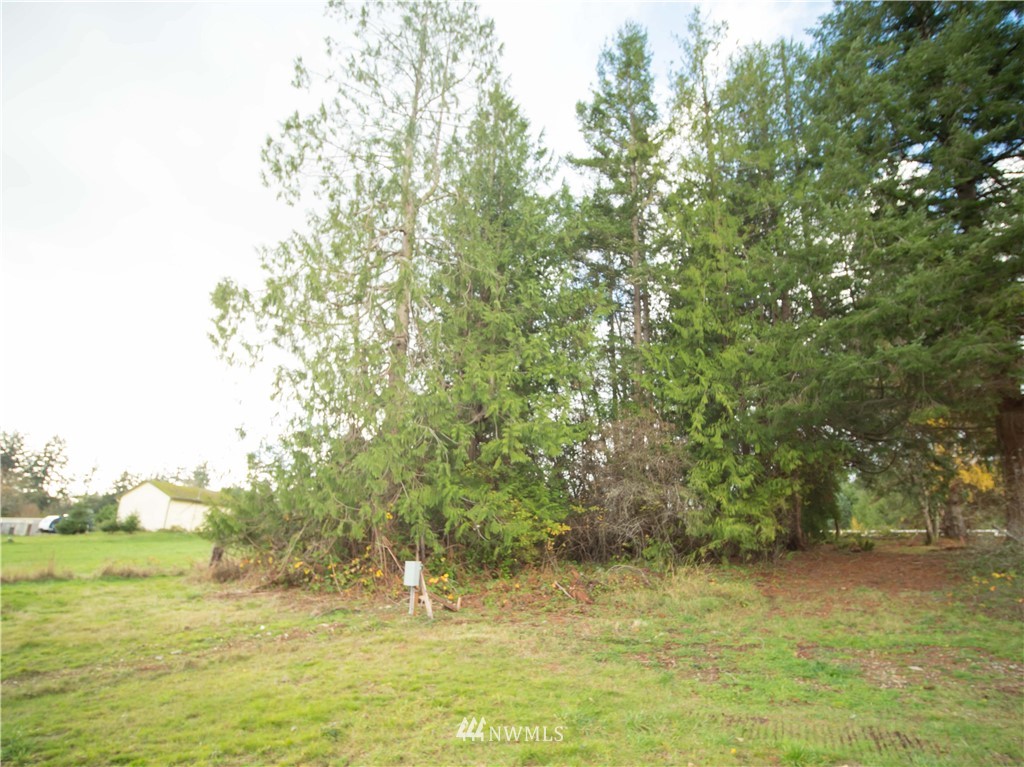 2320 Swansonville Road Port Ludlow, WA 98365 - Photo 6 of 16 Gallery Image 6