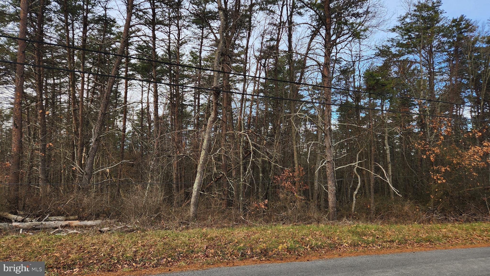 11901 Price Road Northeast Little Orleans, MD 21766 - Photo 2 of 8