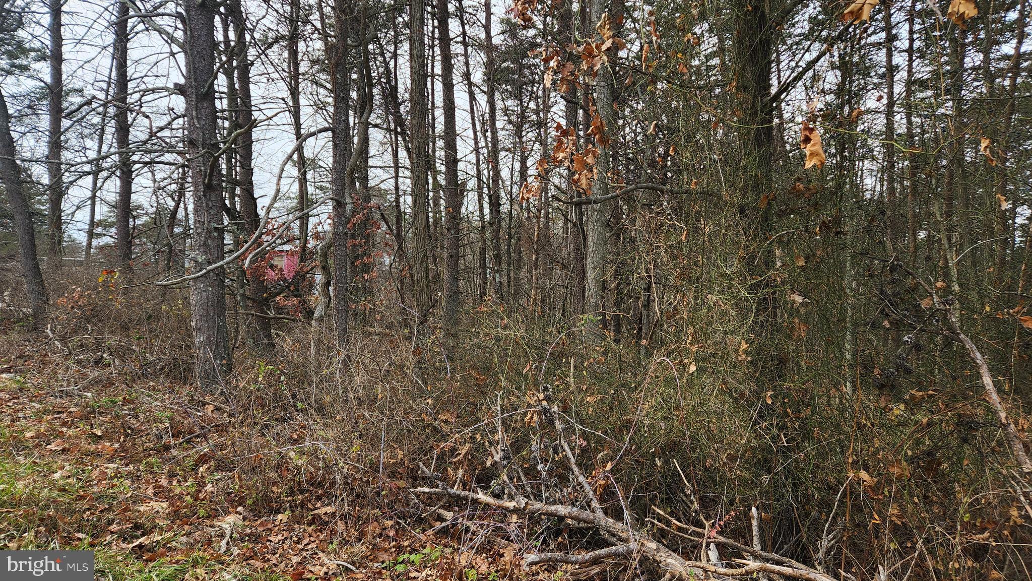 11901 Price Road Northeast Little Orleans, MD 21766 - Photo 5 of 8