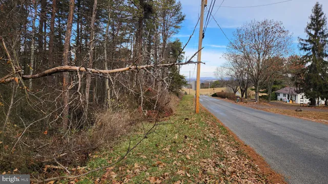 a view of a yard with plants and trees